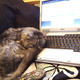 Image for article titled Caturday Night Special: Reader Kitties Are Surly & Sweet